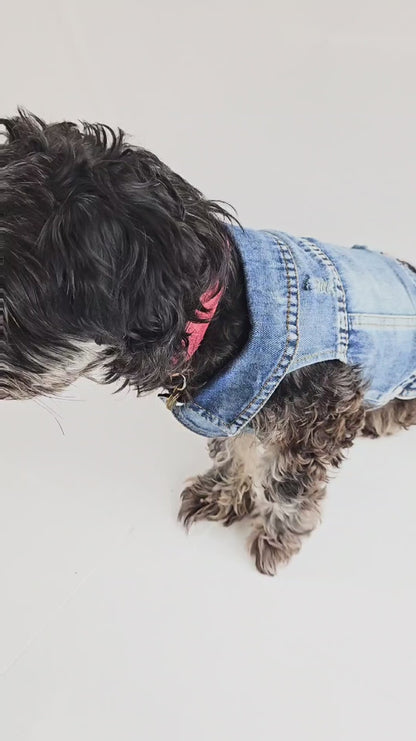 Personalized Dog Denim Vest
