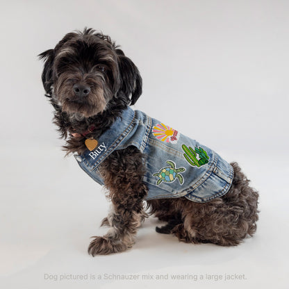 a small dog wearing a jean jacket with cactus patches