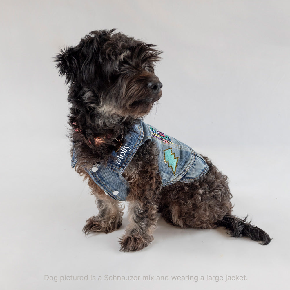 a small dog wearing a denim jacket and jeans