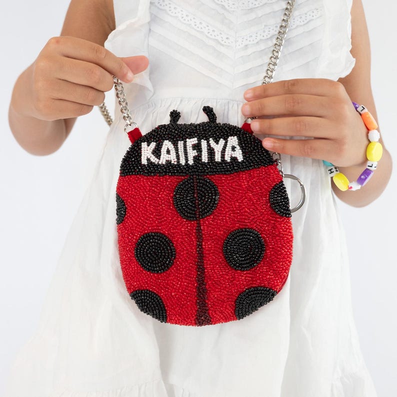 Lady Bug Custom Kids Clutch