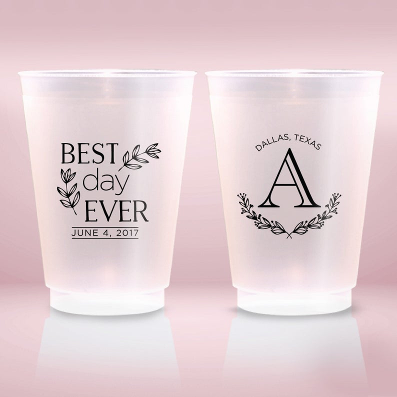 Best Day Ever Wedding Cups (29)